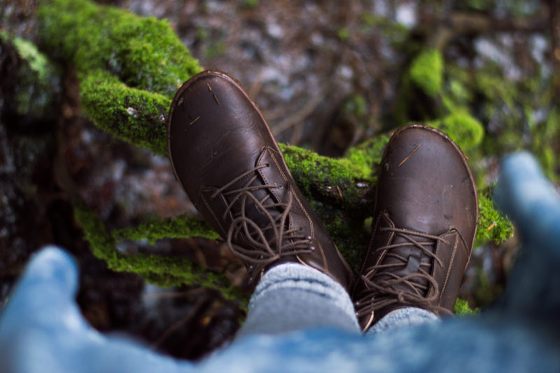 Moss Carpets and the Moustache Tree | Tales of Huckleberry Island